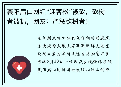 襄阳扁山网红“迎客松”被砍，砍树者被抓，网友：严惩砍树者！